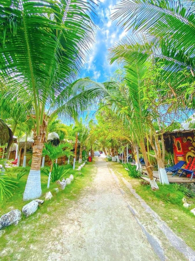 Eco Cabanas Bluekay มาอาอวล ภายนอก รูปภาพ