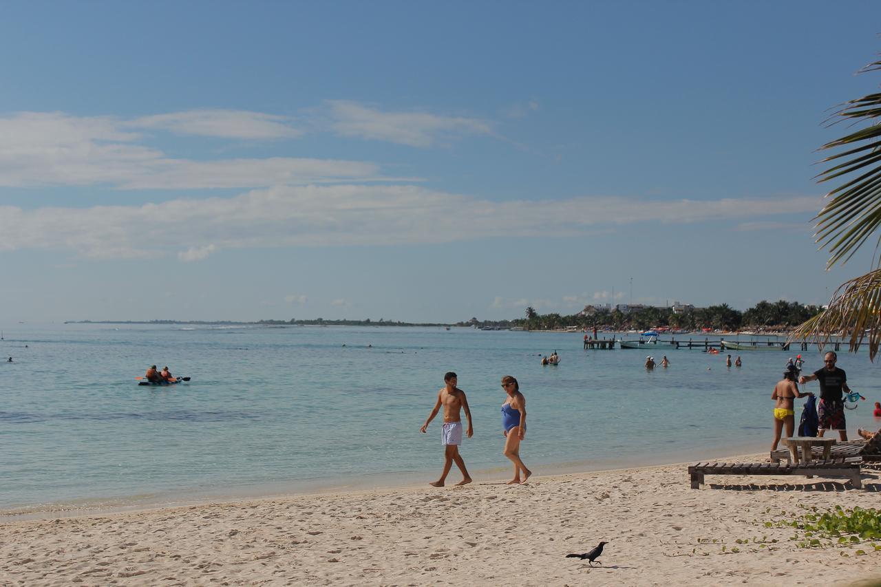 Eco Cabanas Bluekay มาอาอวล ภายนอก รูปภาพ