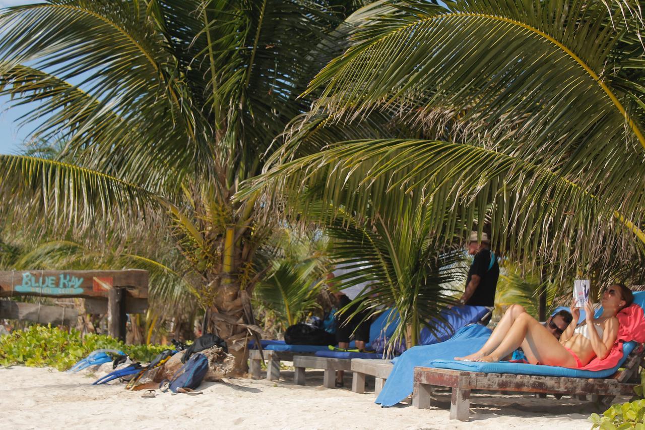 Eco Cabanas Bluekay มาอาอวล ภายนอก รูปภาพ