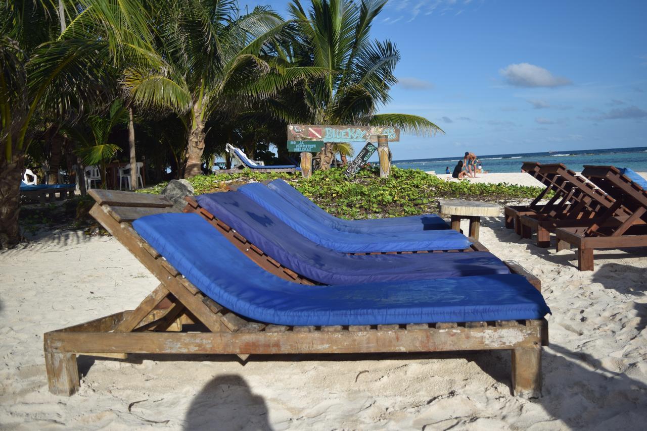 Eco Cabanas Bluekay มาอาอวล ภายนอก รูปภาพ