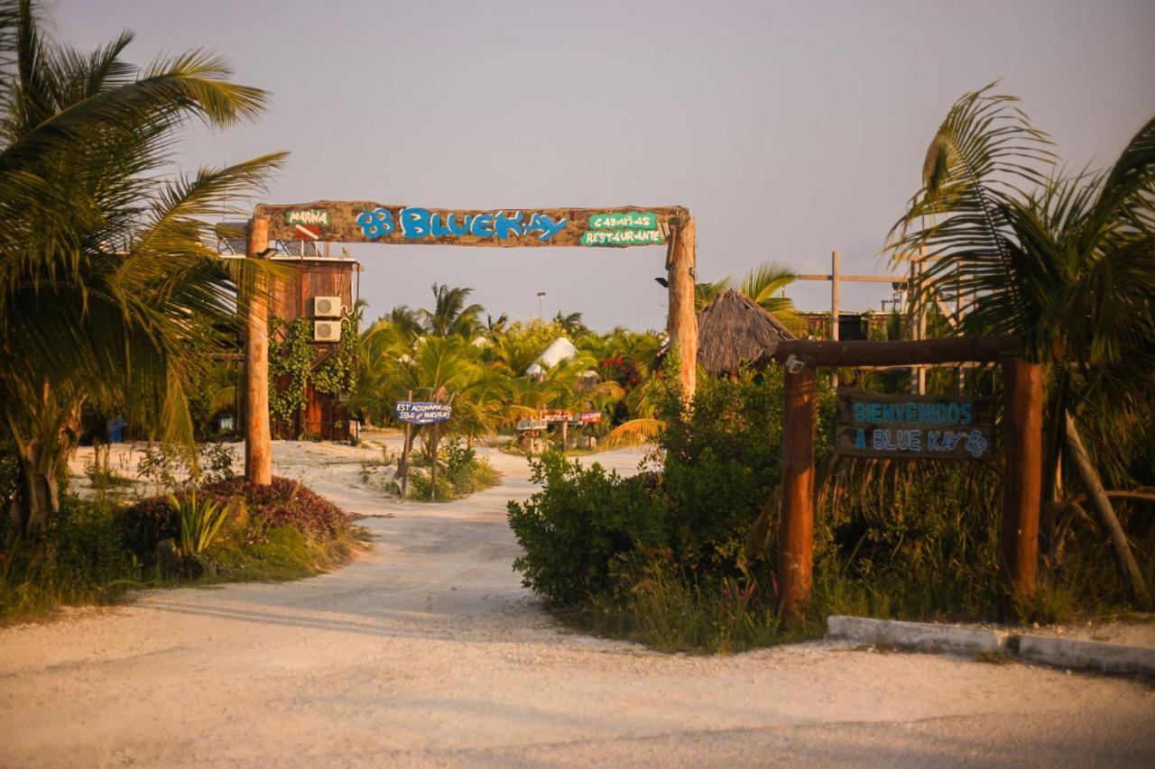 Eco Cabanas Bluekay มาอาอวล ภายนอก รูปภาพ